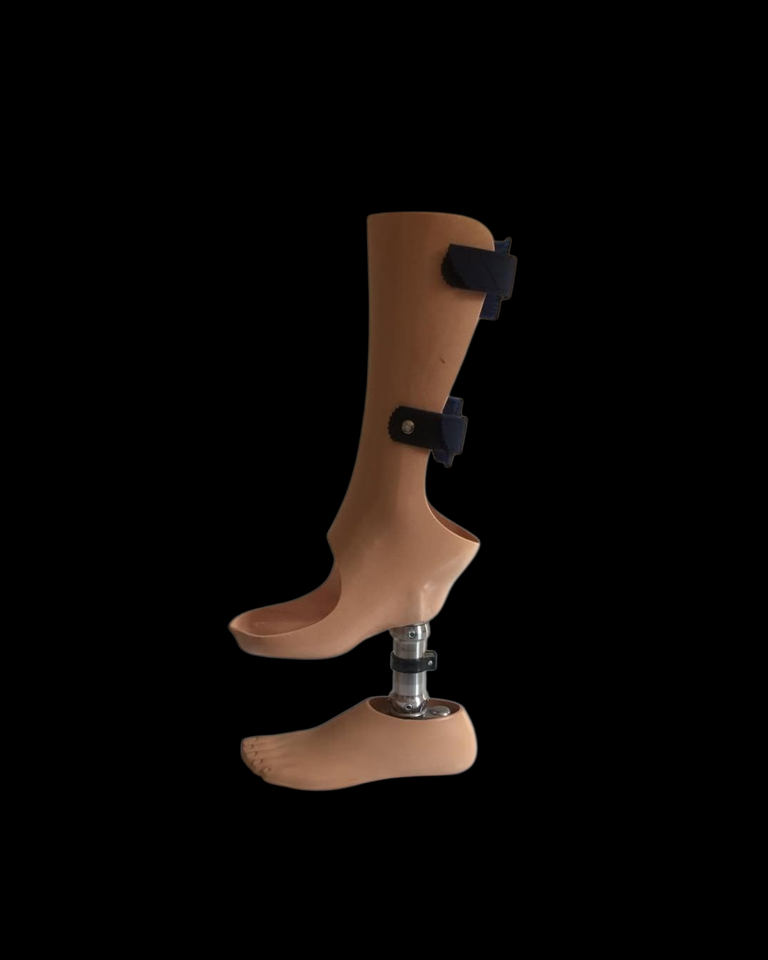 Ortho Prosthetics
